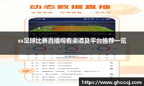 极悦娱乐