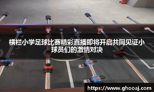 极悦娱乐登录APP