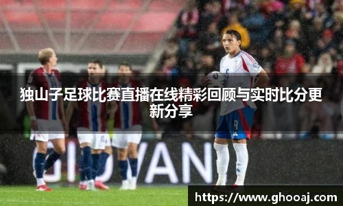 极悦娱乐官网